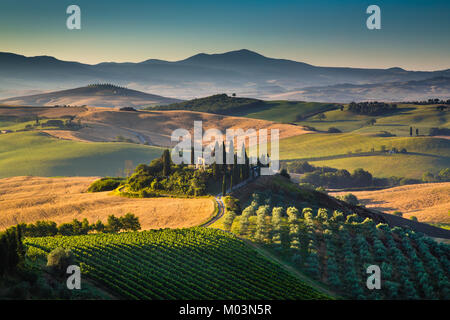 Malerische Toskana-Landschaft mit sanften Hügeln und Tälern im goldenen Morgenlicht, Val d ' Orcia, Italien Stockfoto