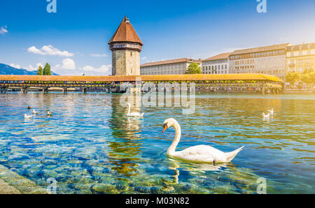 Das historische Stadtzentrum von Luzern mit berühmten Kapellbrücke, dem Wahrzeichen der Stadt und eines der wichtigsten touristischen Sehenswürdigkeiten der Schweiz an einem sonnigen Tag Stockfoto