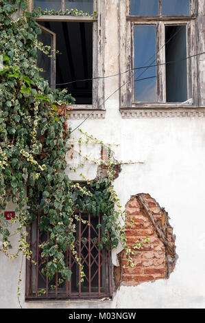 Eine alte, verwitterte Gebäudefassade mit abblätterndem Putz, der rote Backstein darunter zeigt, während grüner Efeu über ein vergittertes Fenster klettert und ein markantes c erzeugt Stockfoto