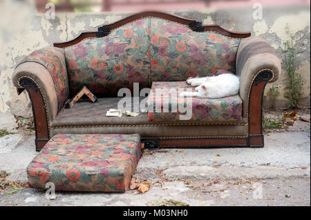 Ein abgenutztes Sofa mit Blumenmuster im Freien, mit einer weißen Katze, die bequem auf einem der Kissen liegt, sorgt für eine einzigartige Gegenüberstellung Stockfoto