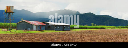 Zuckerrohr Farm, Ingham, North Queensland Stockfoto