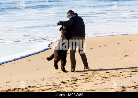 Bournemouth, Dorset, Großbritannien. 18 Jan, 2018. UK Wetter: ein schöner sonniger Tag am Strand von Bournemouth. Mann 'Dancing mit 'Neufundländer Welpen am Strand Credit: Carolyn Jenkins/Alamy leben Nachrichten Stockfoto