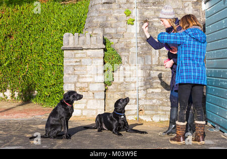 Bournemouth, Dorset, Großbritannien. 18 Jan, 2018. UK Wetter: ein schöner sonniger Tag am Strand von Bournemouth. Gehorsame Hunde, wie Sie bleiben für die Frau ein Photo Credit: Carolyn Jenkins/Alamy Leben Nachrichten zu nehmen Stockfoto