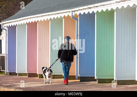 Bournemouth, Dorset, Großbritannien. 18 Jan, 2018. UK Wetter: ein schöner sonniger Tag am Strand von Bournemouth. Spaziergang mit dem Hund entlang der Promenade Vergangenheit Strandhütten. Credit: Carolyn Jenkins/Alamy leben Nachrichten Stockfoto