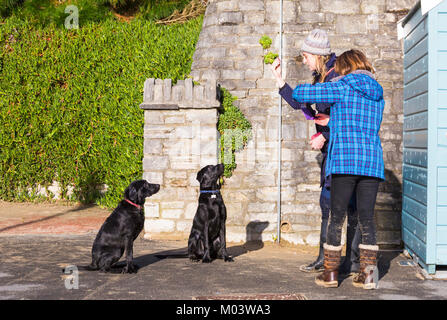 Bournemouth, Dorset, Großbritannien. 18 Jan, 2018. UK Wetter: ein schöner sonniger Tag am Strand von Bournemouth. Gehorsame Hunde, wie Sie bleiben für die Frau ein Photo Credit: Carolyn Jenkins/Alamy Leben Nachrichten zu nehmen Stockfoto