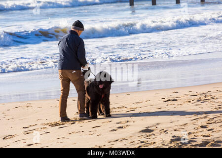 Bournemouth, Dorset, Großbritannien. 18 Jan, 2018. UK Wetter: Nach einer sehr windigen Nacht ein schöner sonniger Tag am Strand von Bournemouth. Mann mit Neufundland Welpen an der Küste Credit: Carolyn Jenkins/Alamy leben Nachrichten Stockfoto