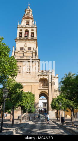 Glockenturm der Kathedrale Mezquita in Cordoba, Spanien Stockfoto