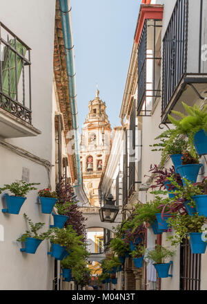Calleja de la Flores und Mezquita Turm, Cordoba, Spanien Stockfoto