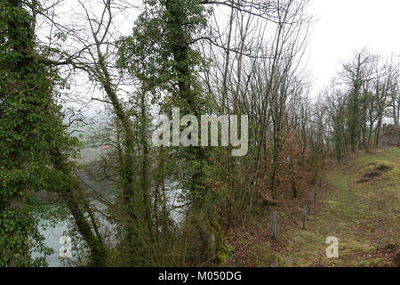 Die Burg Hauenstein ist eine historische Burg in Baden. Bekannt für seine mittelalterliche Architektur und reiche Geschichte, spiegelt das Innere seine geschichtsträchtige Vergangenheit als Festung und Adelssitz wider. Stockfoto