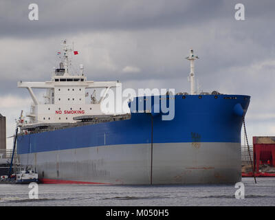 BTG Rainier (Schiff, 2015) IMO 9710139 Vlothaven, Hafen von Amsterdam pic1 Stockfoto