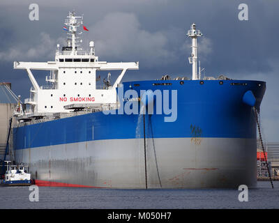 BTG Rainier (Schiff, 2015) IMO 9710139 Vlothaven, Hafen von Amsterdam pic2 Stockfoto