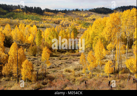 BOULDER MT, Garfield County, UT - 2016-09-30 Herbst Farbe (7) (30415288645) Stockfoto