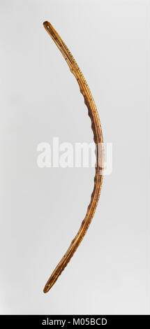 Der Bow Drill, der in der MET-Kollektion (DP207571) enthalten ist, ist ein altes Werkzeug, das verwendet wird, um Brände durch Reibung zu erzeugen. Sie stellt eine frühe technologische Innovation in der Geschichte der Menschheit und in den Überlebensmethoden dar. Stockfoto