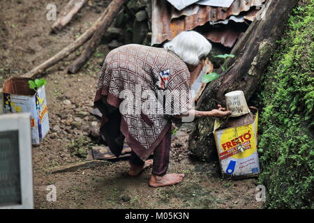 Batad, Philippines-October 7, 2016: Gebuckelt alte Frau der Ifugao die Leute viel arbeitet an der Außenseite von ihrem Haus in Batad Weiler - Reis Terrassen der Stockfoto