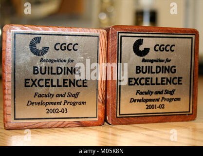 Eine Reihe von Bausteinen, die in der Regel für Bildungszwecke verwendet werden, um Kreativität, kognitive Entwicklung und feinmotorische Fähigkeiten bei Kindern zu fördern. Stockfoto