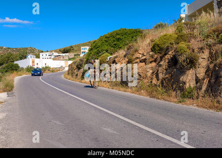 NAXOS, Griechenland - 24. Mai 2017: Alter Mann, der auf einem Esel auf der Straße auf der Insel Naxos. Stockfoto