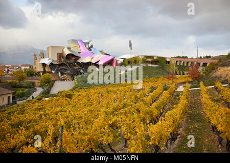 9. November 2017 Hotel Marqués de Riscal, Elciego, Álava, Baskenland, Spanien. Foto von James Sturcke | sturcke.org Stockfoto