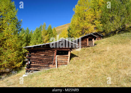 Scheune auf alpinen Wiese in der Nähe von Matrei in Osttirol, Tirol, Österreich Stockfoto