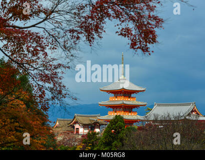 Aula der Kiyomizu-dera Tempel mit Herbst Wald in Kyoto, Japan. Stockfoto