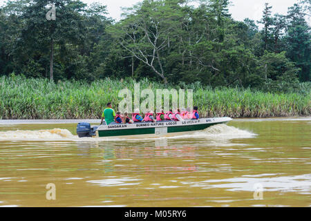 Touristen in einem Boot auf dem Fluss Kinabatangan, Sukau Kinabatangan, Borneo, Sabah, Malaysia Stockfoto