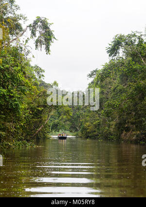 Touristen in einem Boot auf einem Nebenfluss des Kinabatangan Flusses, Sukau Kinabatangan, Borneo, Sabah, Malaysia Stockfoto