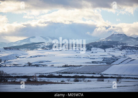 La Rioja, Spanien. 10/1/18 Weinberge in der Nähe von Cannes, La Rioja, Spanien, nach Schneefall. Berg San Lorenzo, Rioja höchster Berg, ist im Hintergrund. Stockfoto