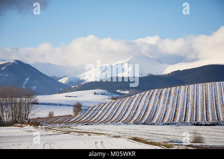 La Rioja, Spanien. 10/1/18 Weinberge in der Nähe von Cannes, La Rioja, Spanien, nach Schneefall. Berg San Lorenzo, Rioja höchster Berg, ist im Hintergrund. Stockfoto