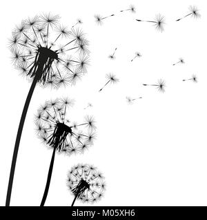 Silhouette der ein Löwenzahn Stock Vektor