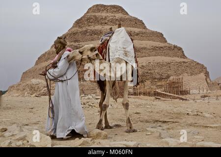 Die gestufte Djoser-Pyramide in Sakkara südlich von Kairo in Ägypten mit Kamel und Reiter davor. Badrshein Gizeh Stockfoto