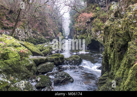 Fairy Glen ist eine spektakuläre Schlucht, die zu einer Verdrehung Reihe von Wasserfällen und Kaskaden, die zwischen senkrechten Wänden Rush und über die riesigen Felsen führt Stockfoto