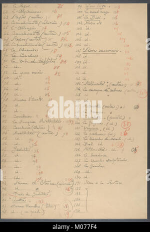 Dieses Foto „La Colombe et Le Tigre“ der Comtesse de Castiglione zeigt symbolische Tauben- und Tigerbilder, die Frieden und Stärke in der aristokratischen Kultur des 19. Jahrhunderts repräsentieren. Stockfoto