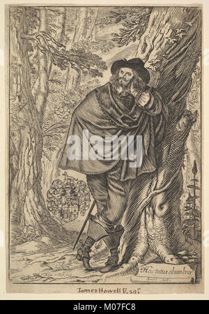 James Howel stehend in einem Wald MET DP 822445 Stockfoto