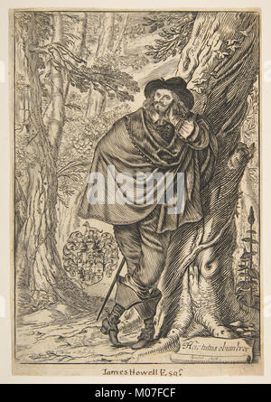 James Howel stehend in einem Wald MET DP 818742 Stockfoto