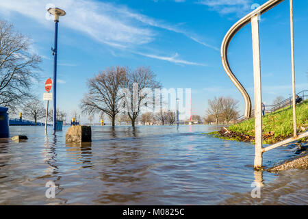 DUISBURG/Deutschland - 08. JANUAR 2017: Der Rhein Hochwasser ist die Muehlenweide in Ruhrort Stockfoto