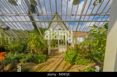 Gewächshaus Ryton organischen Gärten nr. Coventry midlands England Stockfoto