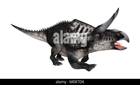 3D-Rendering Dinosaurier Zuniceratops auf Weiß Stockfoto