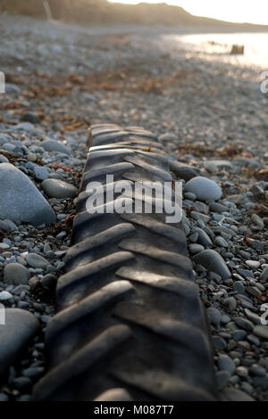 Traktor Reifen zum Meer verlassene sitzt am Strand wartet auf die nächste hohe titde Stockfoto