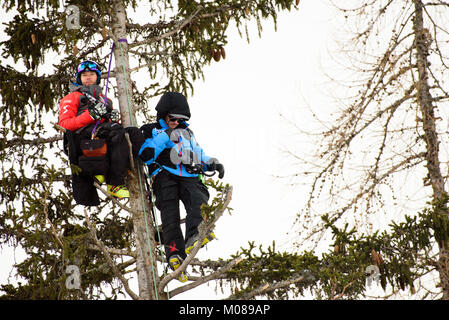 Cortina d'Ampezzo, Italien. 19 Jan, 2018. Ski Trainer hing ein Baum an der Cortina d'Ampezzo FIS Weltcup in Cortina d'Ampezzo, Italien am 19. Januar 2018. Credit: Rok Rakun/Pacific Press/Alamy leben Nachrichten Stockfoto