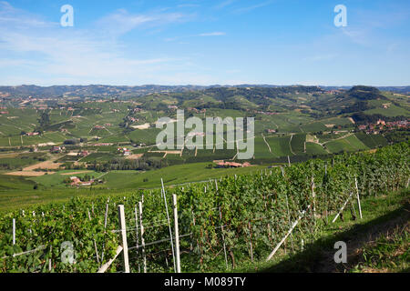 Grüne Weinberge und Hügel der Langhe in Italien an einem sonnigen Tag, Unesco Weltkulturerbe Stockfoto