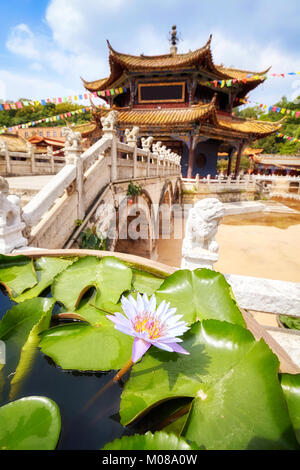 Lotus Blume in der Yuantong-tempel in Kunming, selektiver Fokus, China. Stockfoto