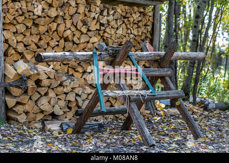 Ein traditionelles Bügelsäge oder Buck sah auf einem sawbuck oder sawhorse, zum Halten und Schneiden Brennholz, Manitoba, Kanada. Stockfoto