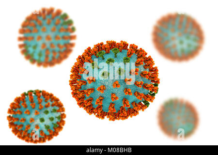 Influenza Virus H3N2-Stamm handelt. 3D-Abbildung: surface Glycoprotein spikes Hämagglutinin (orange) und die neuraminidase (grün) auf eine Influenza (Grippe) Viruspartikel. Hämagglutinin spielt eine Rolle bei der Bindung des Virus an menschliche Zellen der Atemwege. Die Neuraminidase spielt eine Rolle bei der Freigabe der neu gebildeten Viruspartikeln aus infizierten Zellen. H3N2-Viren sind in der Lage, Vögel und Säugetiere sowie Menschen anstecken. Sie verursachen oft mehr schwere Infektionen in der Jungen und Älteren als andere Grippebelastungen, und sie kann zur Erhöhung der Krankenhauseinweisungen und Todesfällen führen. Stockfoto