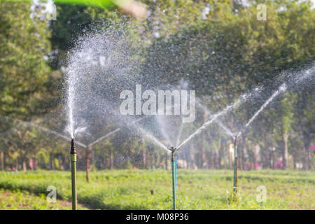 Landwirtschaftliche Garten von Sprinklern Stockfoto