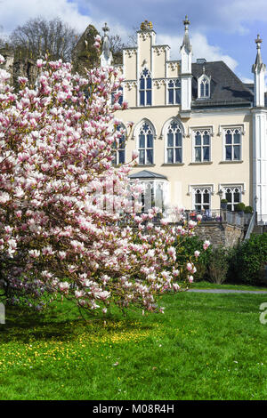 Feder mit Magnolie in voller Blüte und einem Herrenhaus. Deutschland. Seyn Stadt Stockfoto