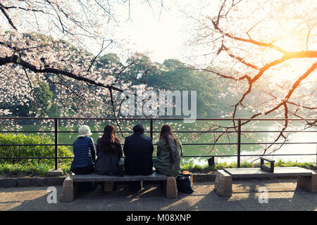 Cherry Blossom Blumen im Garten mit vielen Menschen in Tokio, Japan. Stockfoto