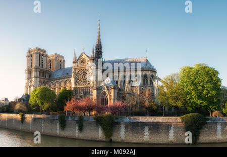 Notre Dame der Vorformling am späten Nachmittag im Frühling. Letzte Sonnenstrahlen am Abend. Stockfoto