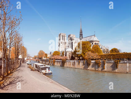 Die Kathedrale Notre Dame in Paris auf einem hellen Morgen im Herbst. Dieses Bild wird gestrafft. Stockfoto