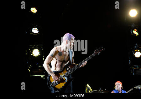 Die US-amerikanische Rockband Red Hot Chili Peppers führt ein Live Konzert in der deutschen Musik Festival Rock im Pott 2012 in der Veltins-Arena in Gelsenkirchen. Hier der Bassist Michael Peter Balzary (besser als Flohmarkt bekannt) wird dargestellt, live auf der Bühne. Deutschland, 25/08 2012. Stockfoto