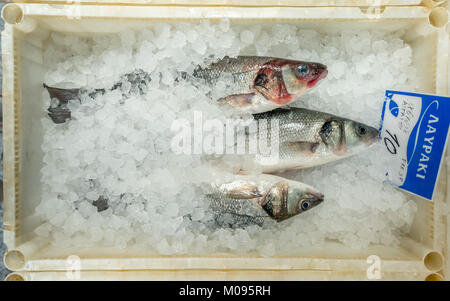 Fischgeschäft in den Parks von Rethimnon, Fische in Eis, Rethymno, Europa, Griechenland, Kreta, Rethymno, Europa, Kreta, Griechenland, GR, Reise, Stockfoto