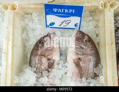 Fischhändler in den Straßen von Rethimnon, Goldbrasse ΦΑΓΚΡΙ, Fisch auf Eis, Rethymno, Europa, Griechenland, Kreta, Rethymno, Europa, Kreta, Griechenland, GR, Reisen, t Stockfoto